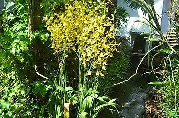 The Hoi An Orchid Garden Villas